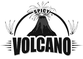 SPICY VOLCANO