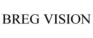 BREG VISION