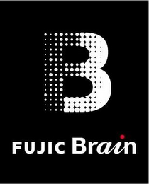 B FUJIC BRAIN