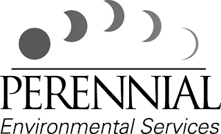 PERENNIAL ENVIRONMENTAL SERVICES