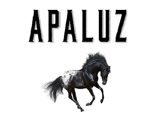 APALUZ