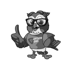 OPTION OWL