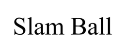 SLAM BALL