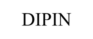 DIPIN