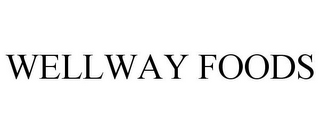 WELLWAY FOODS