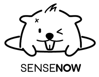 SENSENOW