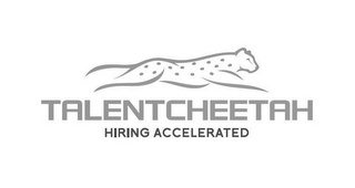 TALENT CHEETAH HIRING ACCELERATED