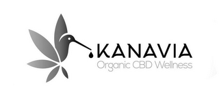 KANAVIA ORGANIC CBD WELLNESS