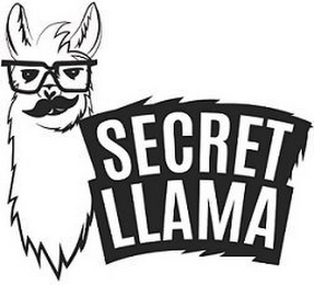 SECRET LLAMA