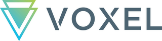 VOXEL V