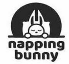 NAPPING BUNNY