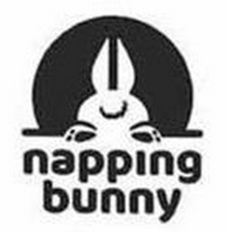 NAPPING BUNNY