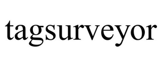 TAGSURVEYOR