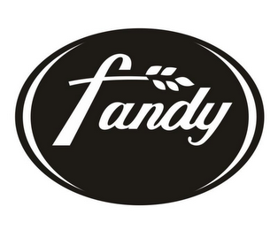 FANDY