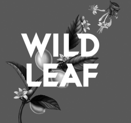 American Fermentation Company LLC