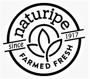 NATURIPE FARMED FRESH SINCE 1917