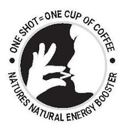 NATURES NATURAL ENERGY BOOSTER ONE SHOT= ONE CUP OF COFFEE