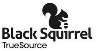 BLACK SQUIRREL TRUESOURCE