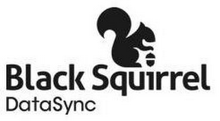 BLACK SQUIRREL DATASYNC