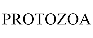 PROTOZOA