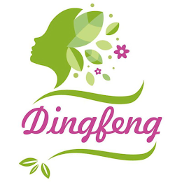 DINGFENG