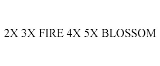 2X 3X FIRE 4X 5X BLOSSOM