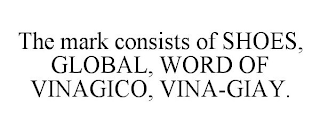 THE MARK CONSISTS OF SHOES, GLOBAL, WORD OF VINAGICO, VINA-GIAY.