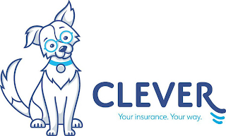 CLEVER YOUR INSURANCE.YOUR WAY.