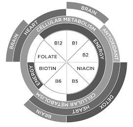 BRAIN BRAIN DETOX BRAIN HEART ANTIOXIDANT HEART CELLULAR METABOLISM CELLULAR METABOLISM ENERGY ENERGY FOLATE B12 B1 B2 NIACIN B5 B6 BIOTIN