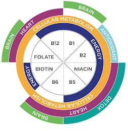 BRAIN BRAIN DETOX BRAIN HEART ANTIOXIDANT HEART CELLULAR METABOLISM CELLULAR METABOLISM ENERGY ENERGY FOLATE B12 B1 B2 NIACIN B5 B6 BIOTIN