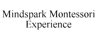 MINDSPARK MONTESSORI EXPERIENCE