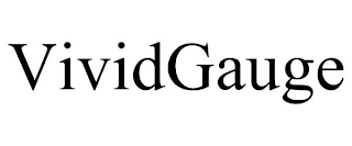 VIVIDGAUGE