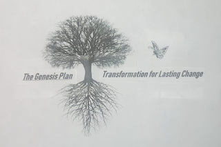 THE GENESIS PLAN TRANSFORMATION FOR LASTING CHANGE