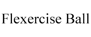 FLEXERCISE BALL