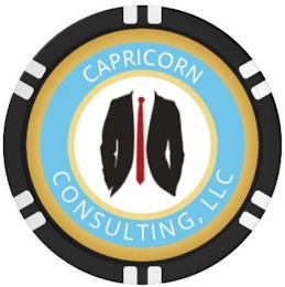 CAPRICORN CONSULTING, LLC