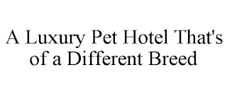 A LUXURY PET HOTEL THAT'S OF A DIFFERENT BREED