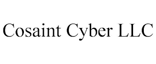 COSAINT CYBER LLC