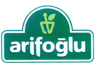 ARIFOGLU