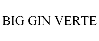 BIG GIN VERTE