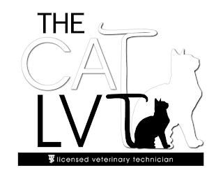 THE CAT LVT LICENSED VETERINARY TECHNICIAN