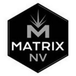 M MATRIX NV