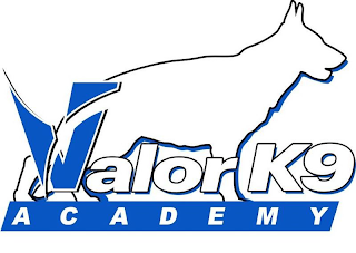 VALOR K9 ACADEMY