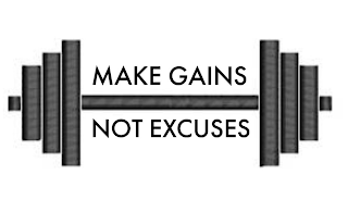 MAKE GAINS NOT EXCUSES