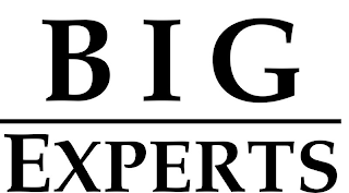 BIG EXPERTS