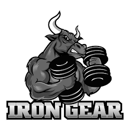 IRON GEAR