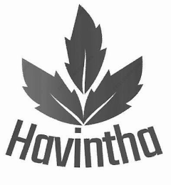 HAVINTHA