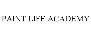 PAINT LIFE ACADEMY