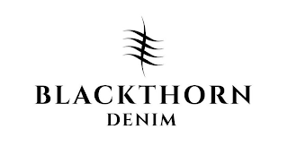 BLACKTHORN DENIM