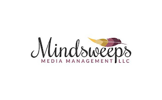 MINDSWEEPS MEDIA MANAGEMENT LLC