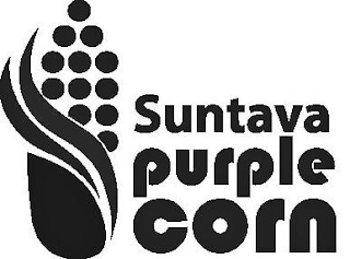 SUNTAVA PURPLE CORN